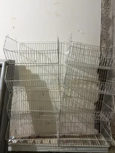 Cesta para produtos