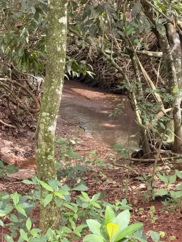 Chácara de 2 alqueires ou 10 hectares