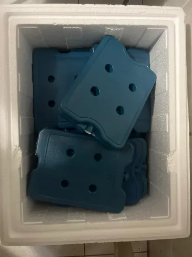2 Caixas Térmica de Isopor 44L + Placas de Gelo Reutilizáveis