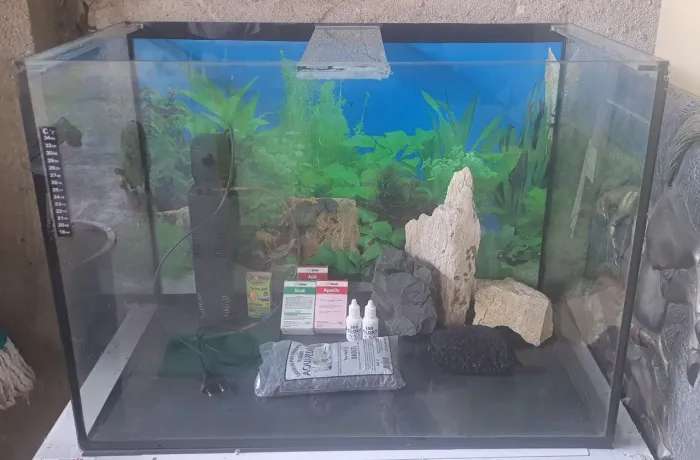 Aquário, decoração