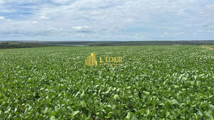 Fazenda no Município de Lagoa Grande