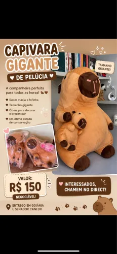 Capivara de pelúcia