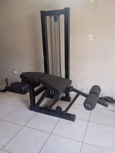 Mesa flexora 
