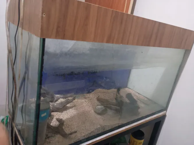 Aquário 200 litros