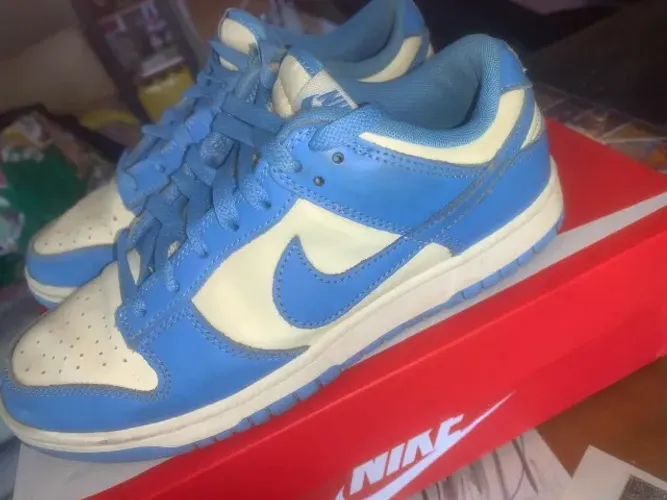 Tênis Nike Dunk Low Azul e Branco