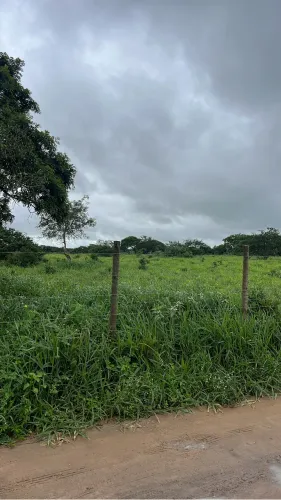 Terreno 5,5 tarefas em Coração de Maria