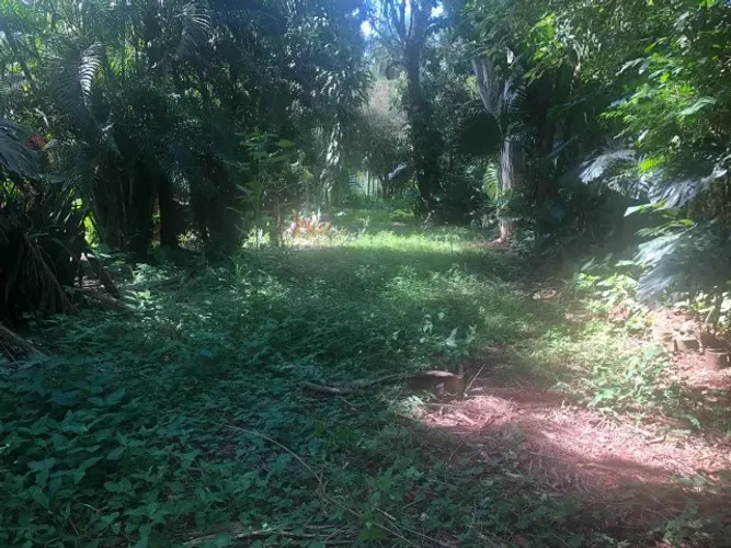 Chácara com casa de 112,57 m2 e terreno de 6.657,00 m2 com área verde ampla.
