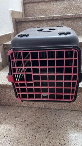 Pet 
