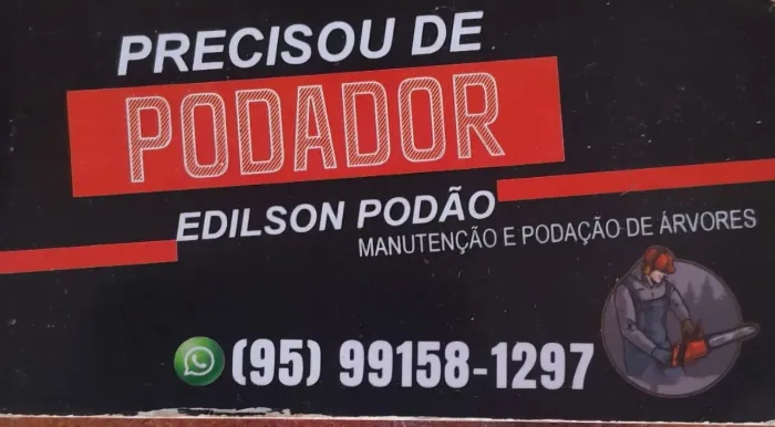 Poda de árvores e retirada de galhadas 