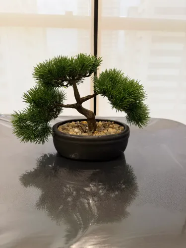 Vendo 3 plantas artificiais decorativas 