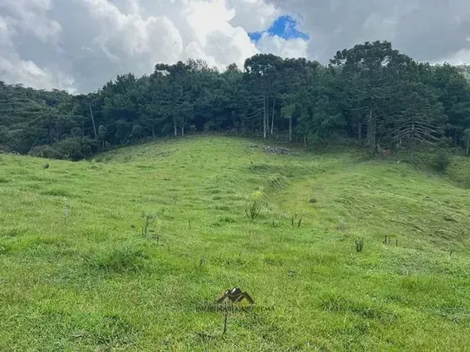 Lote/Terreno para venda com 20000 metros quadrados em Rural - Rio Rufino - SC