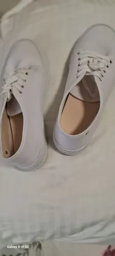 Tenis
