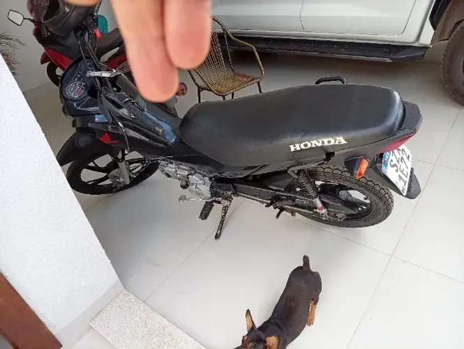 Vendo pop 110