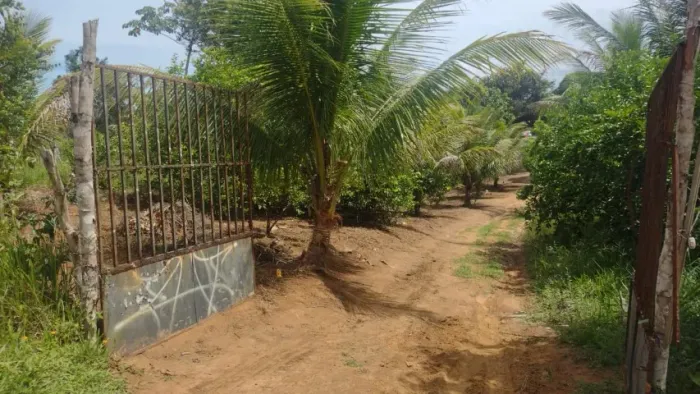 TERRENO 1.000 m2. 10 x 100. Na Estr da Tiririca Barra de Pojuca -Lot - Paradise Enchantê