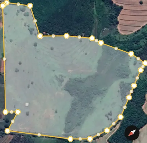ÁREA RURAL À VENDA PALESTINA/SP | 16,5 ALQUEIRES (399.300 m²) | PRONTA PARA PECUÁRIA