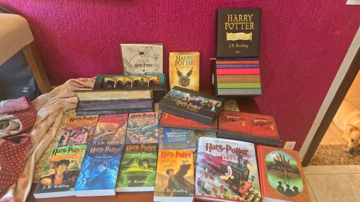 Itens Colecionador Harry Potter