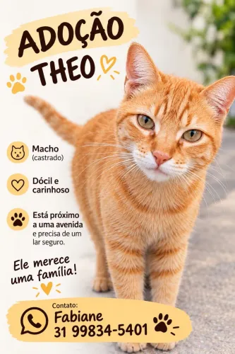 ADOTE O THEO