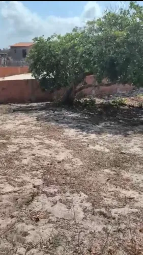 TERRENO EM SANTO AMARO