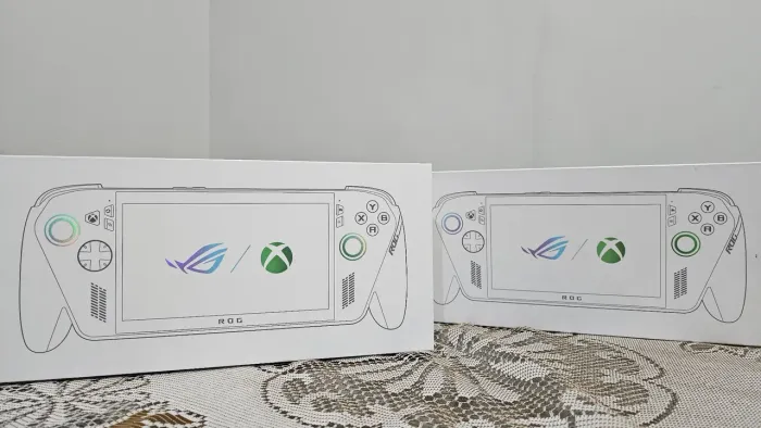 Rog Xbox Ally - Leia