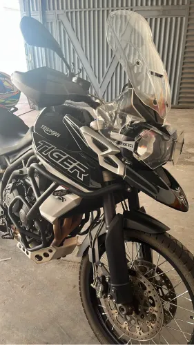 Tiger 800 2019