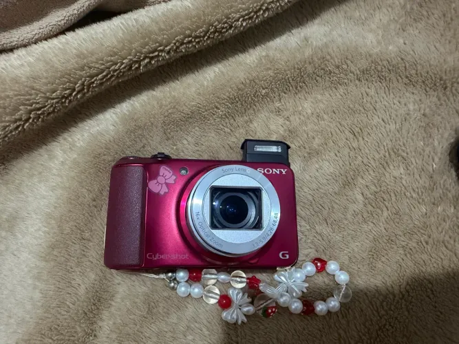 Sony dsc-h90