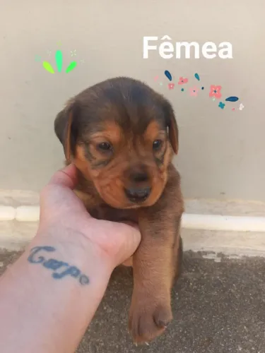 Doação