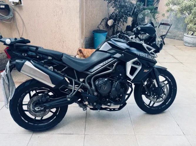 Tiger 800 Zé l