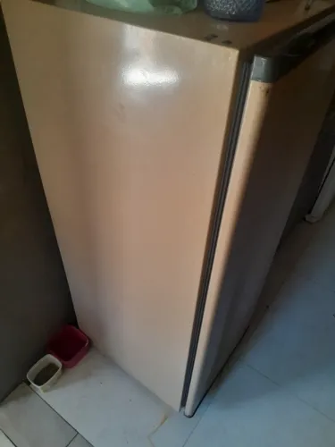 Freezer horizontal