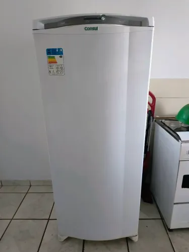 Geladeira 300 litros