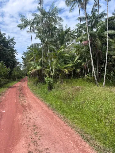 SOMENTE VENDA