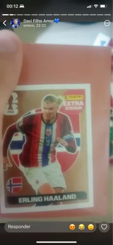 Legend Haaland Bronze