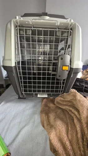 Transportadora Gatos e Cães 
