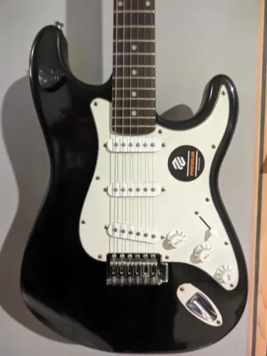 Guitarra shelte usa