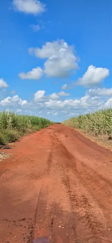 Fazenda de cana 