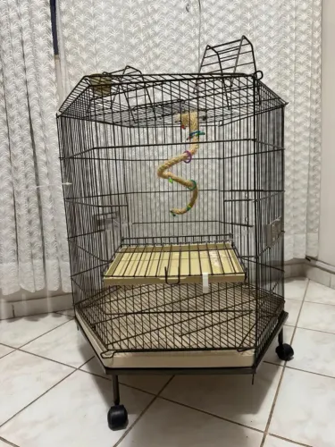 GAIOLA PARA PAPAGAIO E CALOPSITA