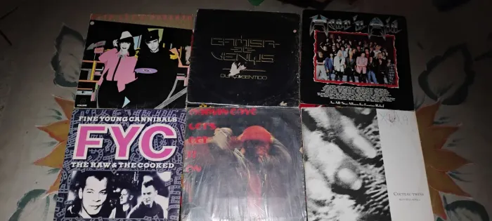 CAPAS DE VINIL - SOMENTE CAPAS