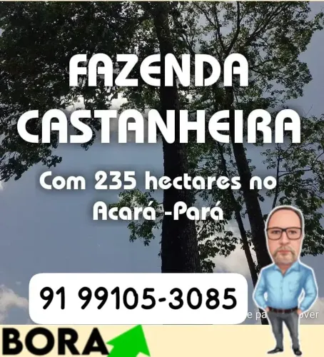 Fazenda para venda tem 235 Hectares na zona rural do Acará - PA