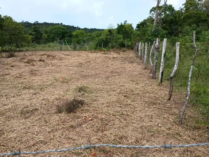 Sucupira Catu Bahia