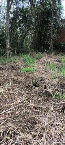 Vendo Terreno