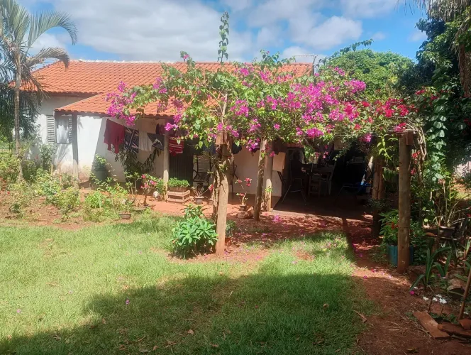 Sítio 5 alqueires Formado MS