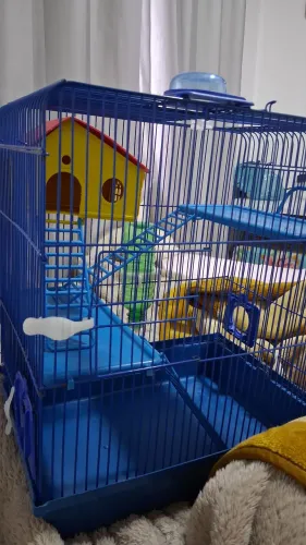 Gaiola de Hamster (com rodinha)