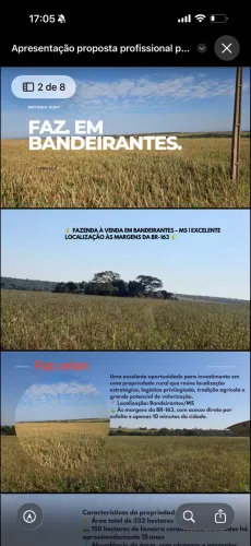 Faz em Bandeirantes BR 163 Soja