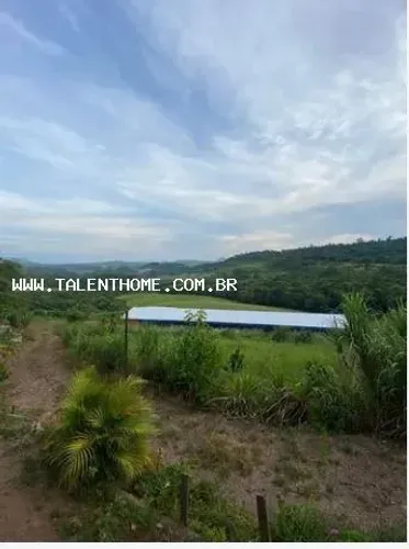 Área Rural para Venda em Tamarana, RURAL