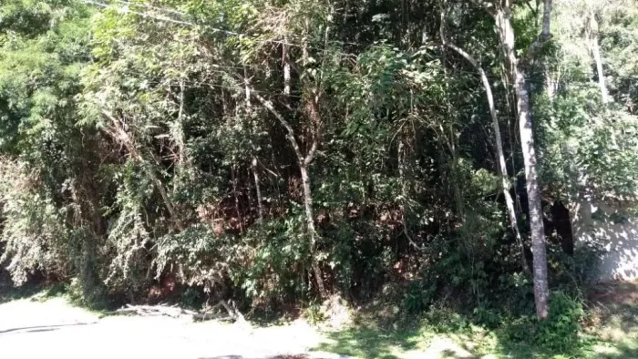 Terreno à venda, 619 m² por R$ 200.000,00 - Vila Verde - Itapevi/SP