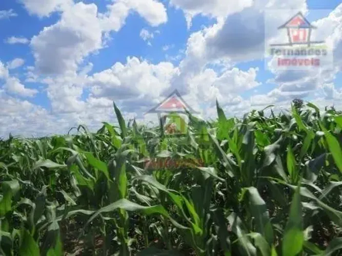 Fazenda à venda 1.450 Há em Dourados/MS