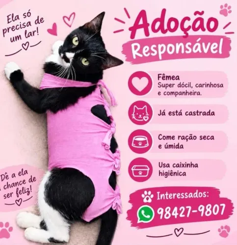 Adoção responsável 