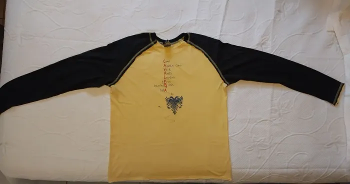 Camiseta Cavalera vintage manga longa tamanho P