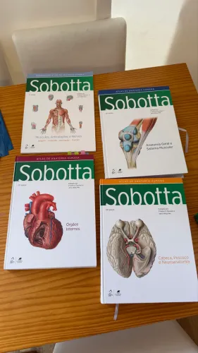 Só bota anatomia humana