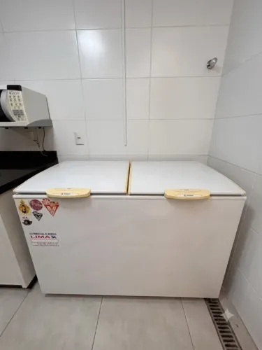 Freezer Horizontal Gelopar 362 Litros | 2 Tampas | 220V | Funcionando