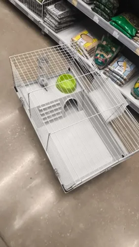 Gaiola para coelho, hamster ou porquinho da índia